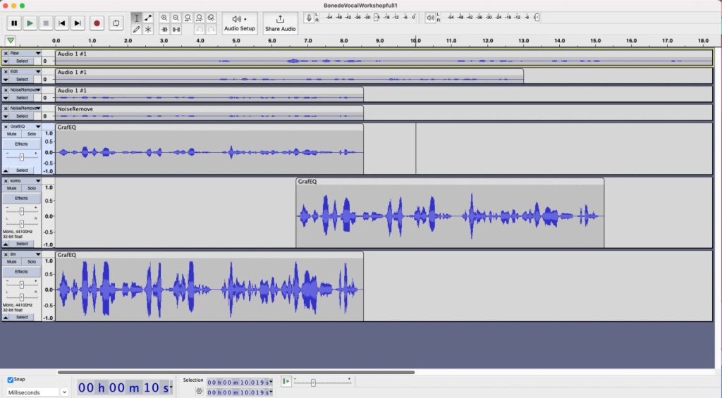 Come modificare le voci in Audacity