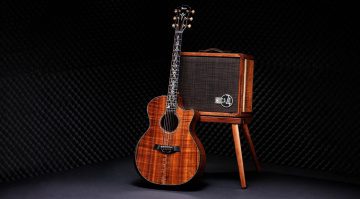 Taylor Guitars 50th Anniversary Collection: Chitarre fino a 19999$