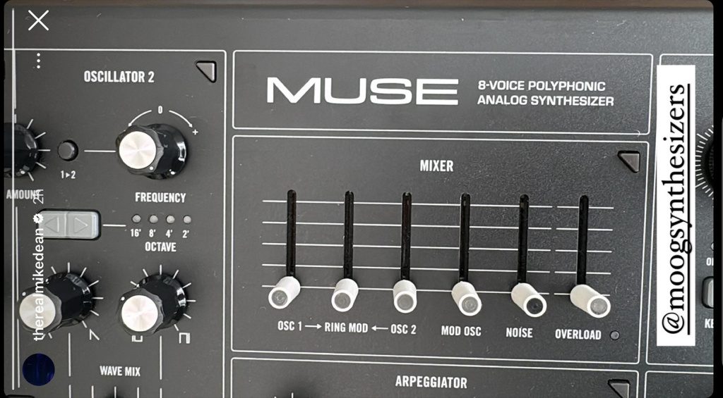 Moog Muse