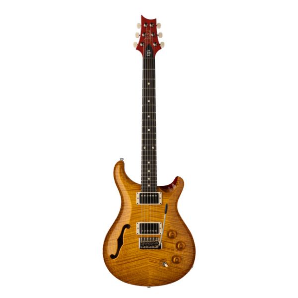 PRS DGT Semi-Hollow