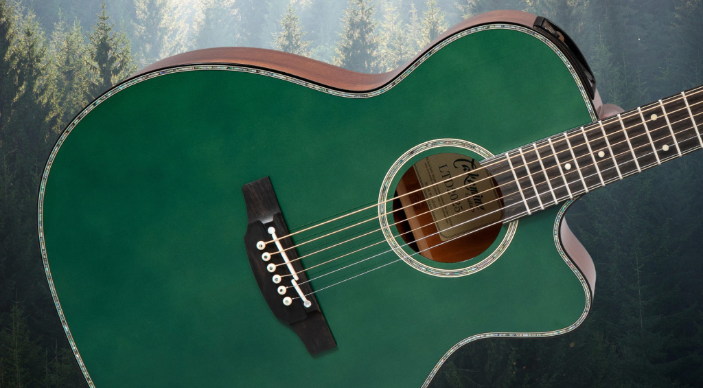 Takamine Limited Edition 2025