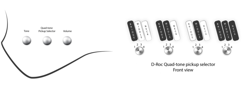 I controlli del Dingwall D-Roc