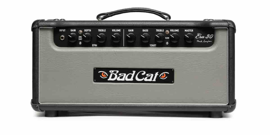 Bad Cat Era 30 in Grigio