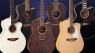 Takamine 2025: Finiture fantastiche, Ltd Edition e una 12 corde!