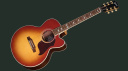Gibson Parlor Rosewood EC: piccola ma potente!