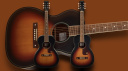 Chitarre Acustiche Parlor